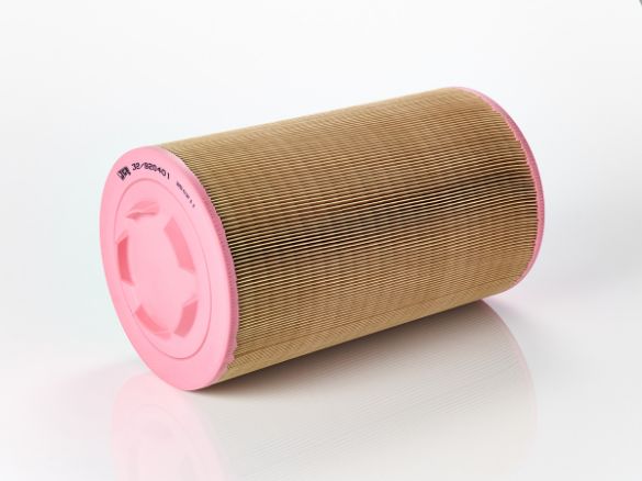 Picture of Air Filter Assembly - Primary 3